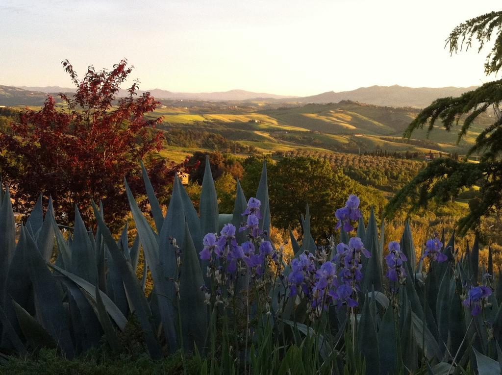 Podere Le Monache Montaione Luaran gambar