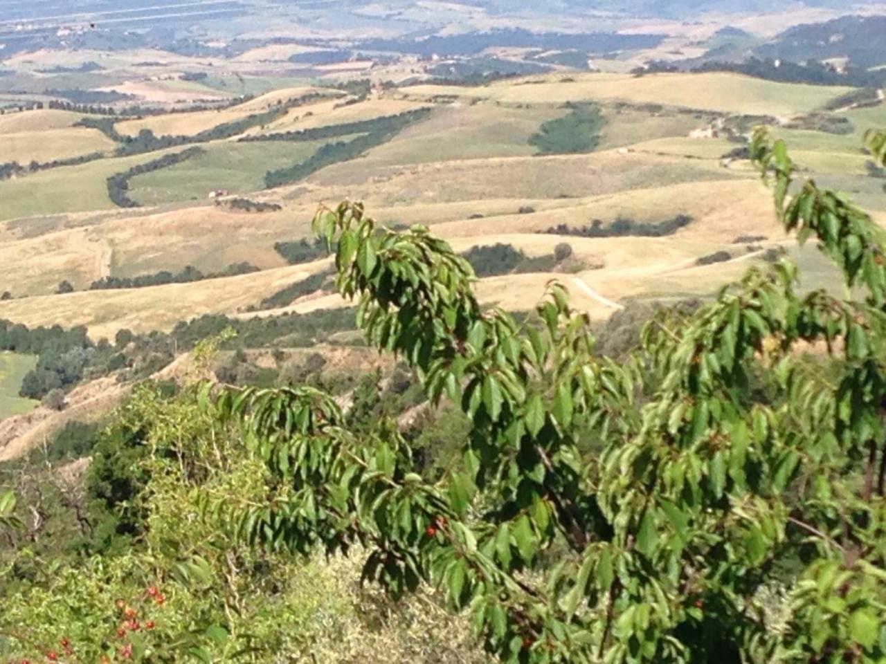 Podere Le Monache Montaione Luaran gambar
